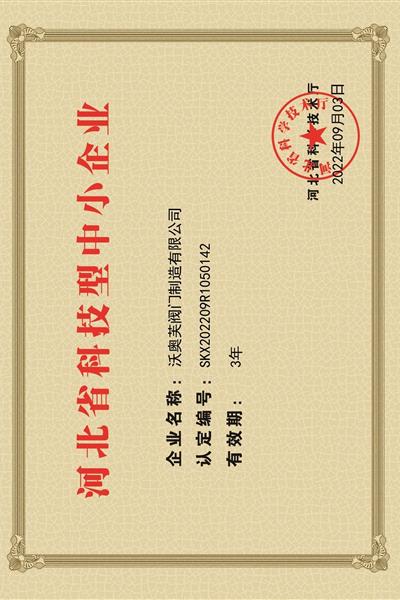科技型中小企業(yè)